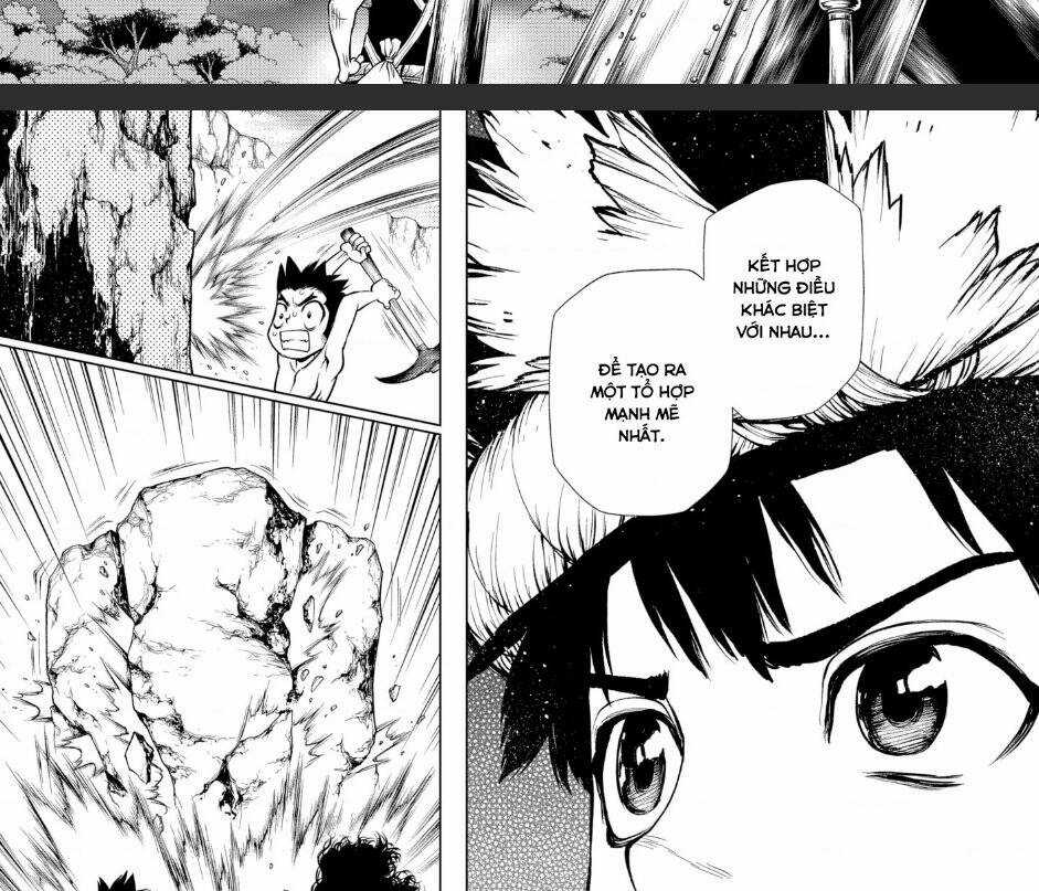 Dr.stone Chapter 199 trang 29