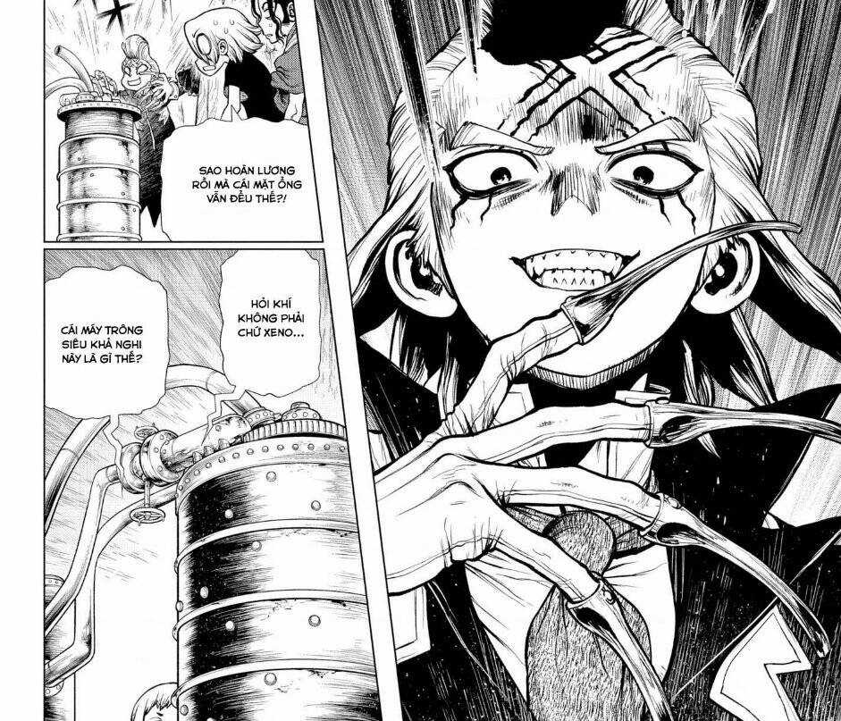 Dr.stone Chapter 199 trang 3