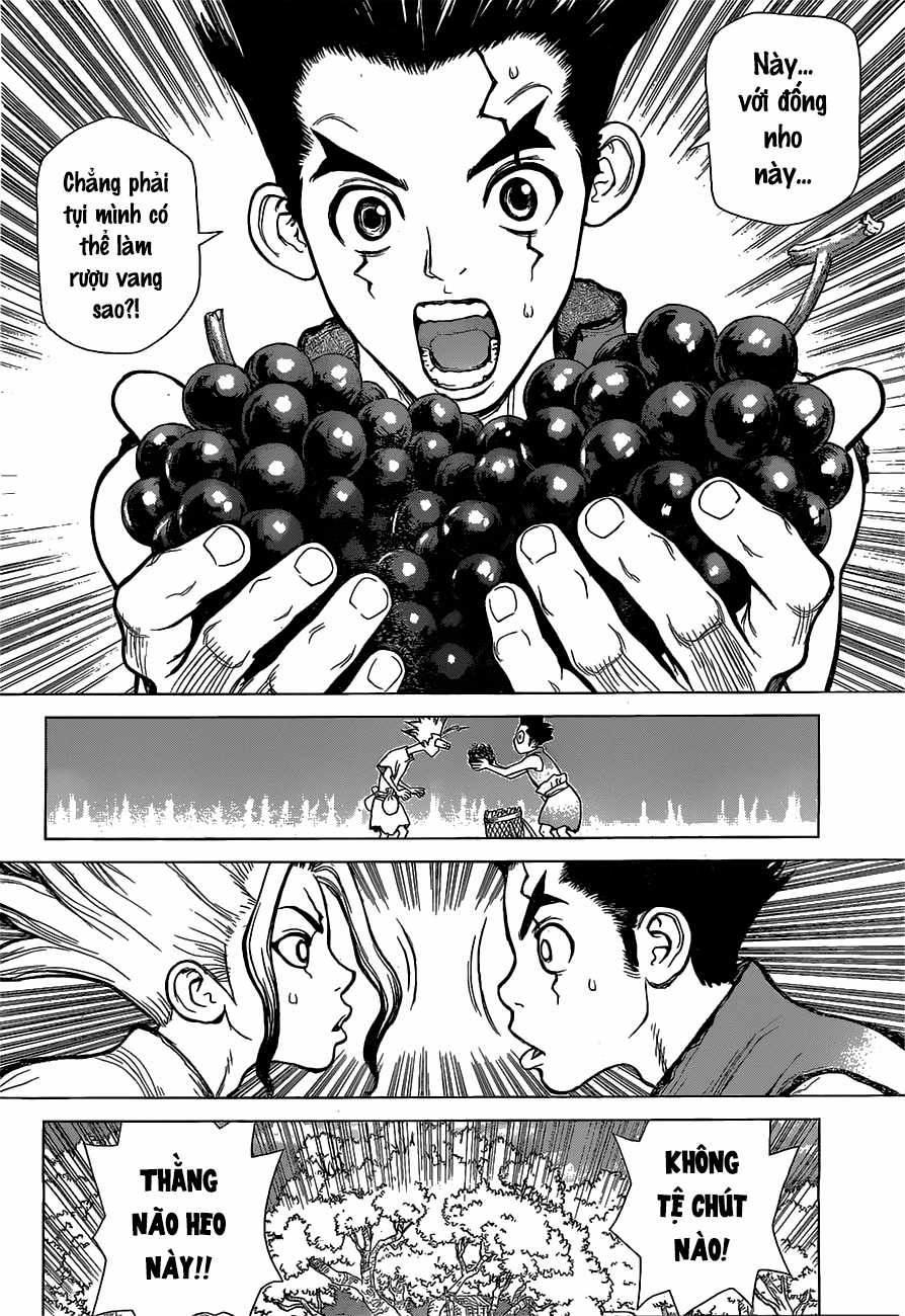 Dr.stone Chapter 2 trang 12