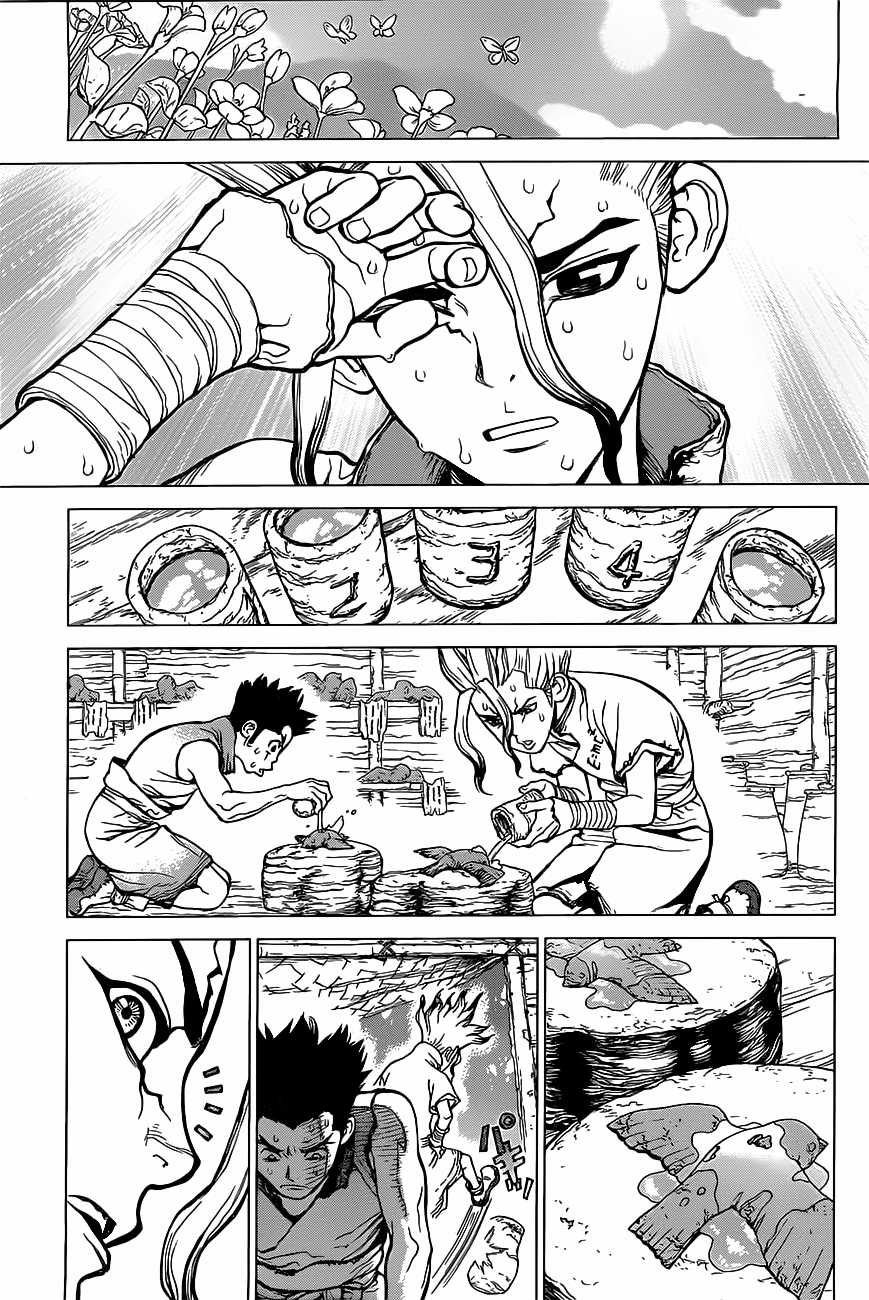 Dr.stone Chapter 2 trang 19