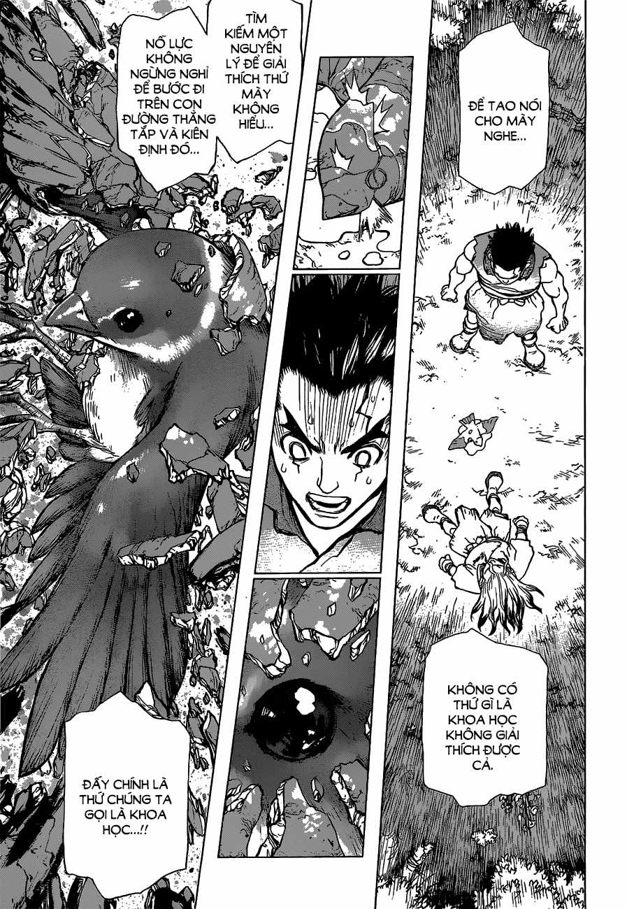Dr.stone Chapter 2 trang 21