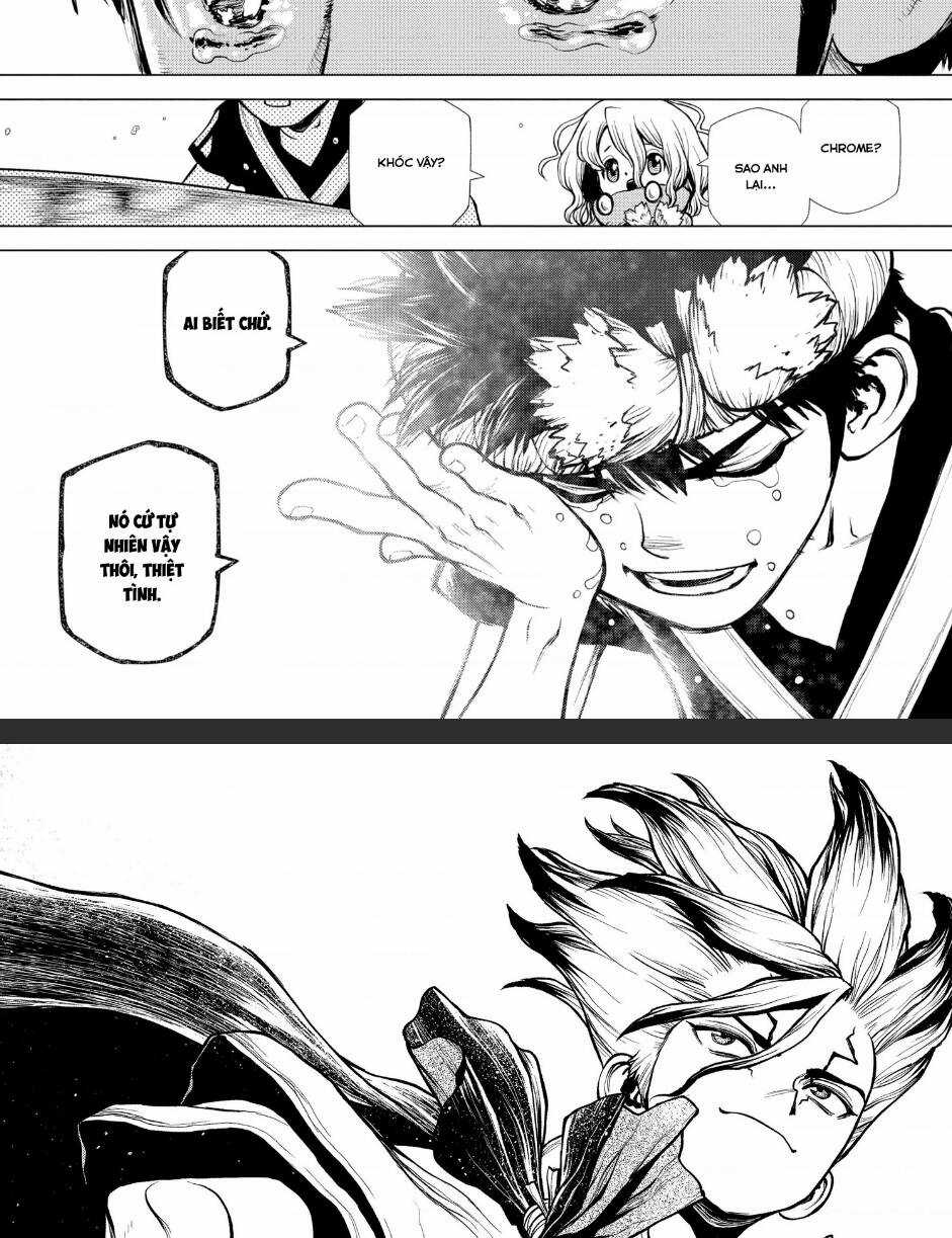 Dr.stone Chapter 200 trang 21