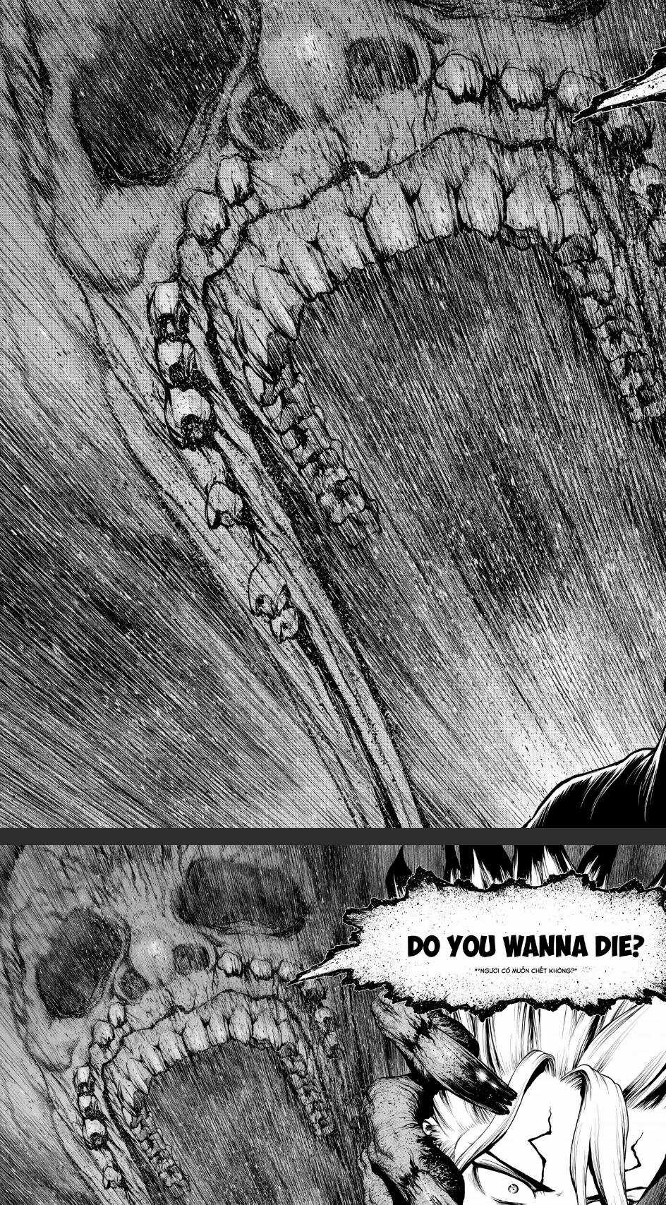 Dr.stone Chapter 201 trang 11