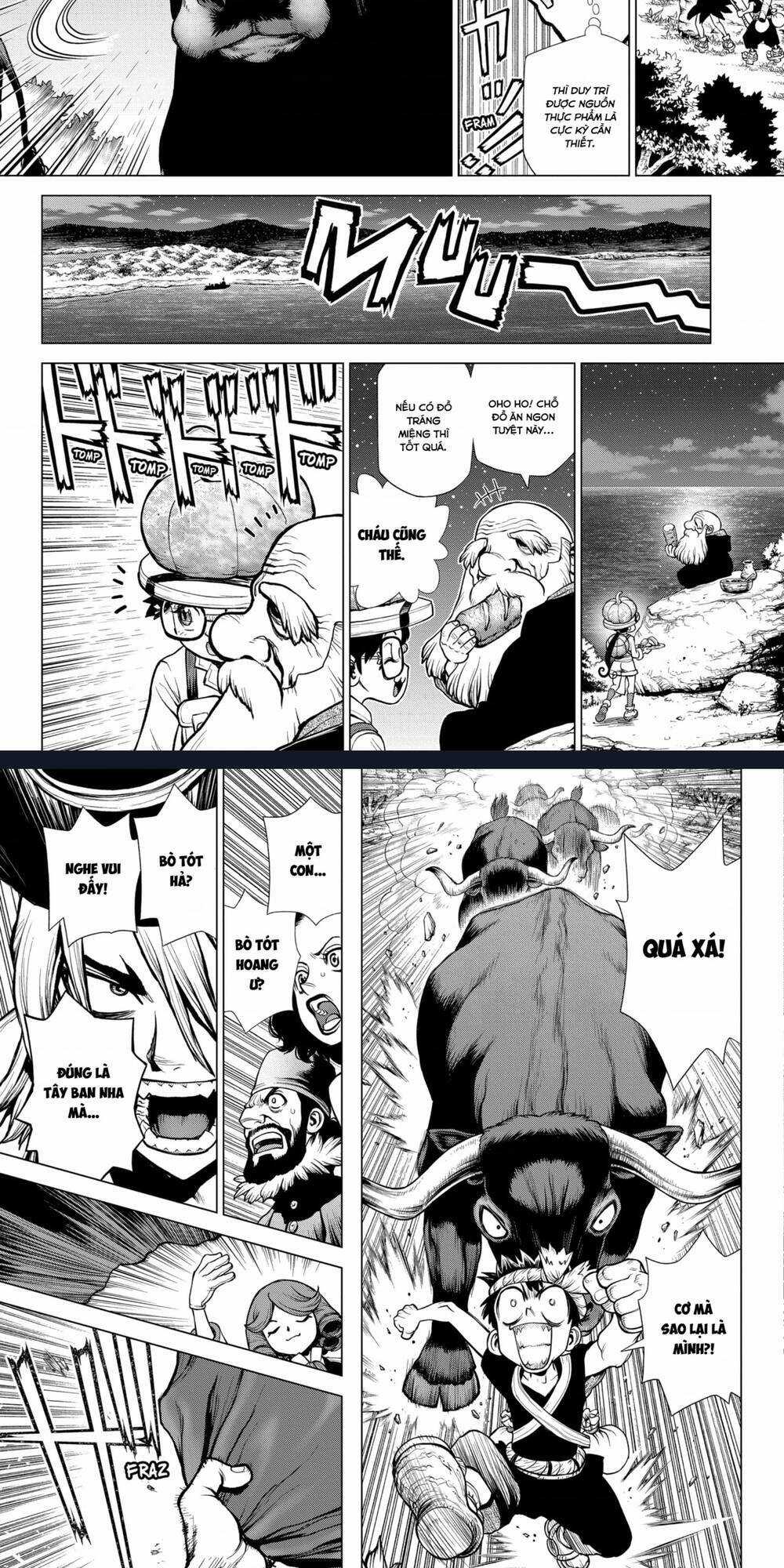 Dr.stone Chapter 202 trang 8