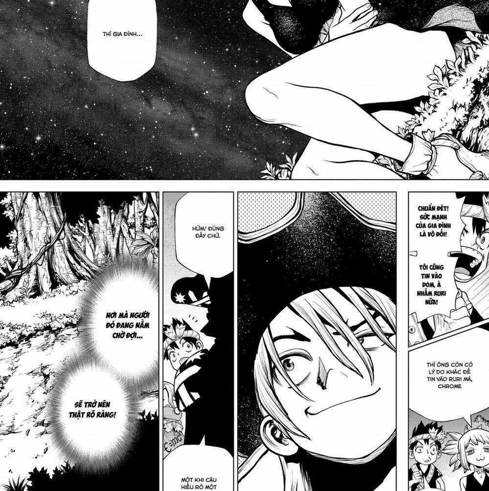 Dr.stone Chapter 204 trang 10