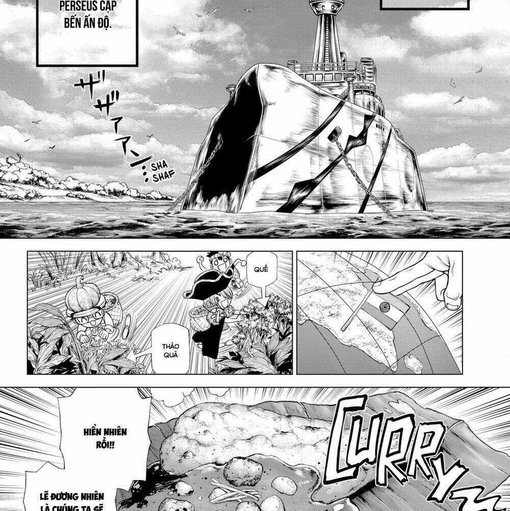 Dr.stone Chapter 204 trang 8