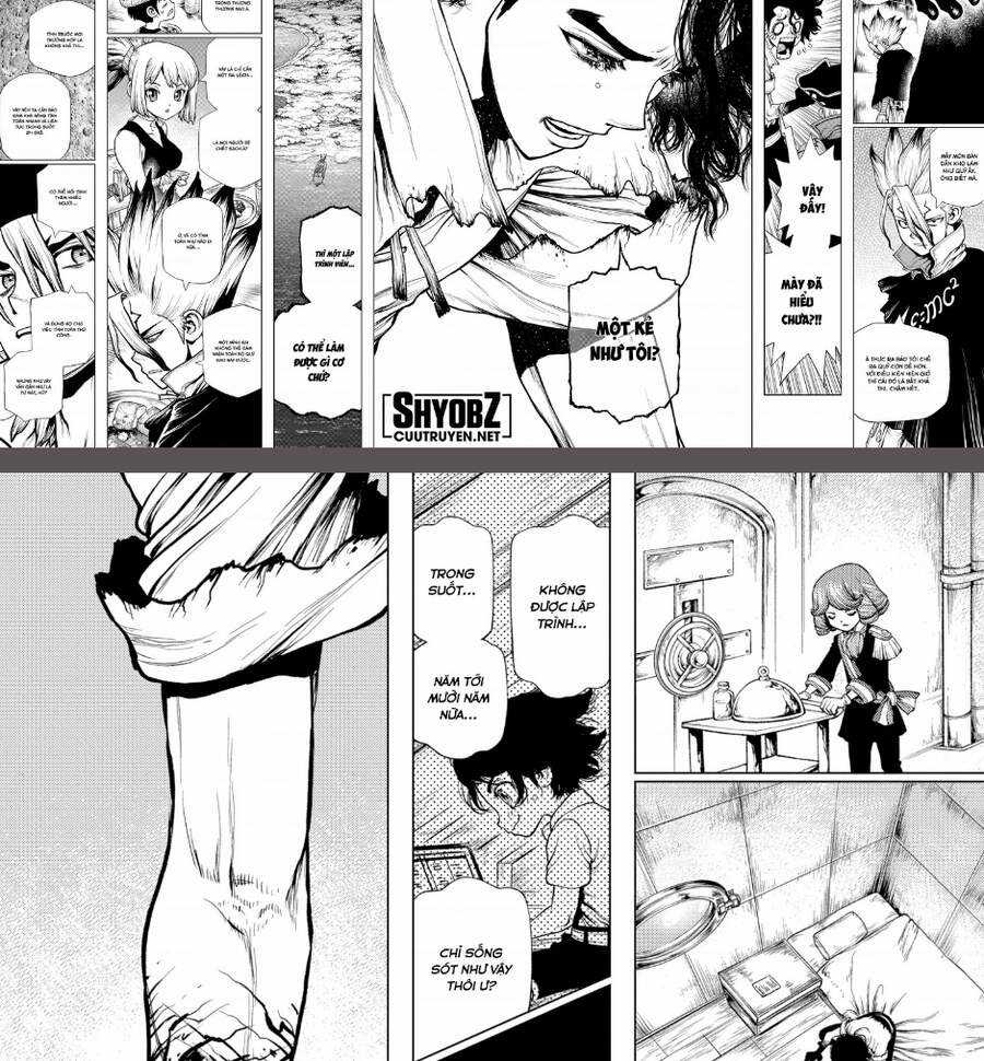 Dr.stone Chapter 205 trang 13