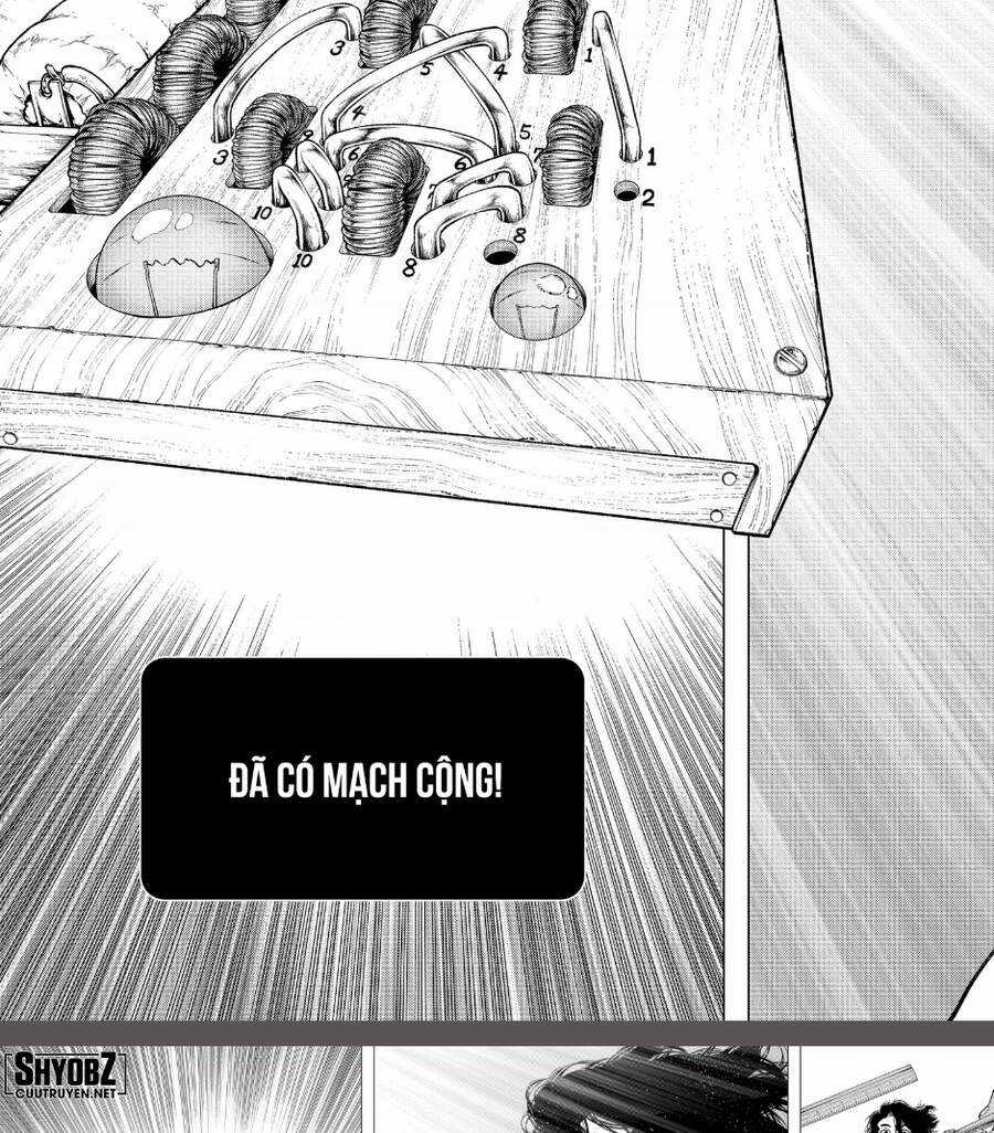 Dr.stone Chapter 206 trang 19