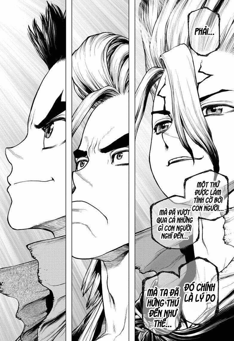 Dr.stone Chapter 208 trang 16