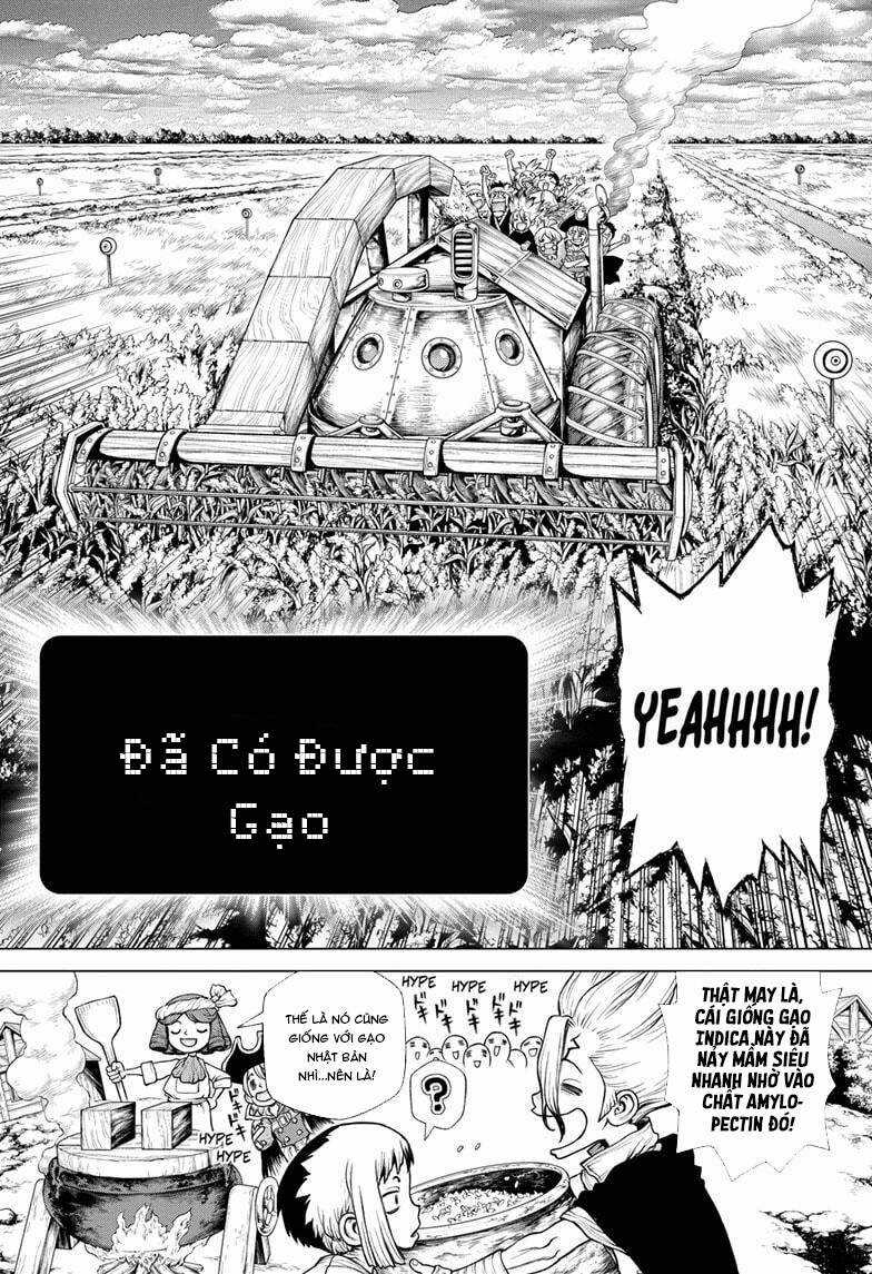 Dr.stone Chapter 211 trang 12