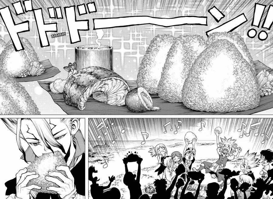 Dr.stone Chapter 211 trang 13