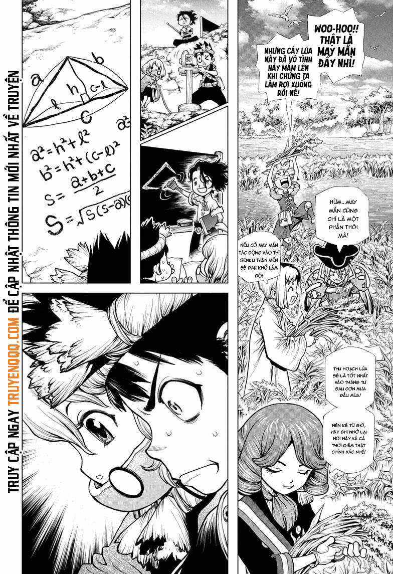 Dr.stone Chapter 211 trang 8