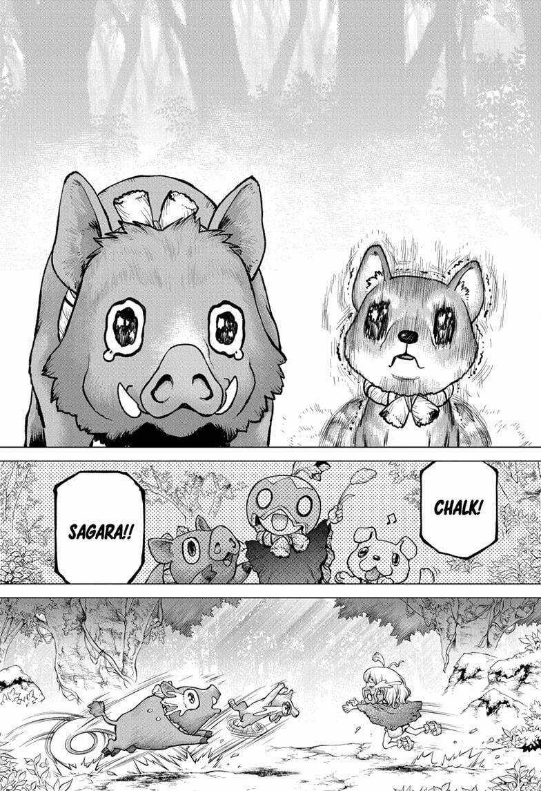 Dr.stone Chapter 212 trang 11