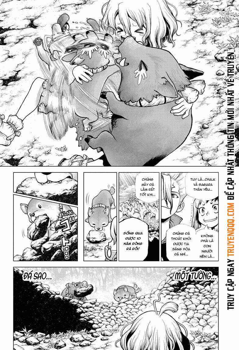 Dr.stone Chapter 212 trang 12