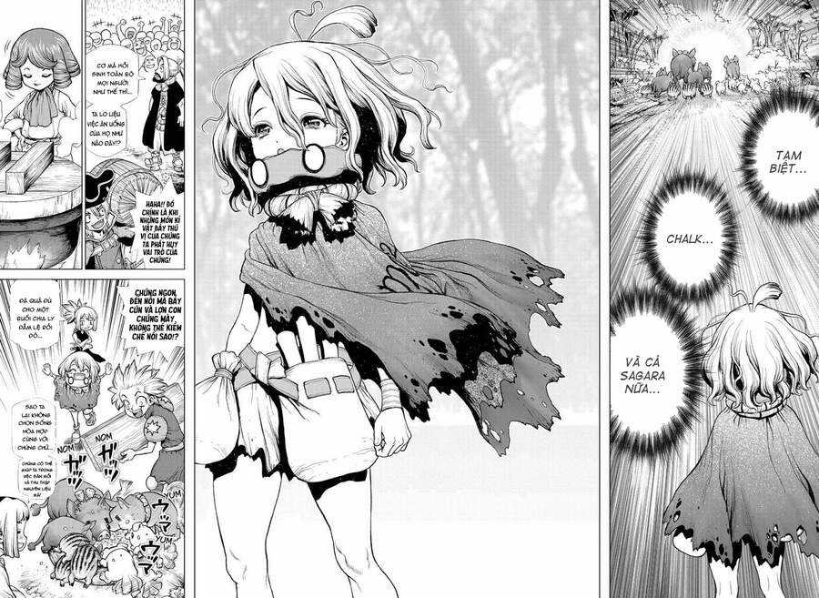 Dr.stone Chapter 212 trang 14