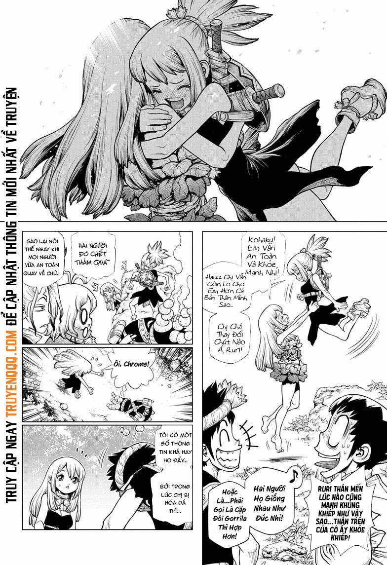 Dr.stone Chapter 212 trang 8