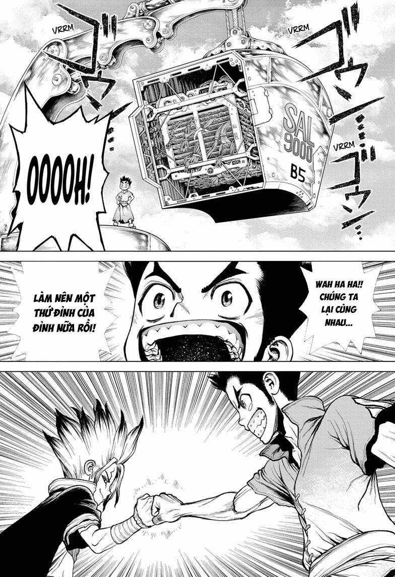 Dr.stone Chapter 213 trang 8