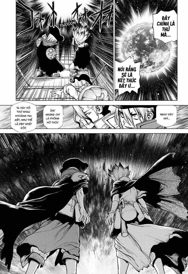 Dr.stone Chapter 214 trang 5