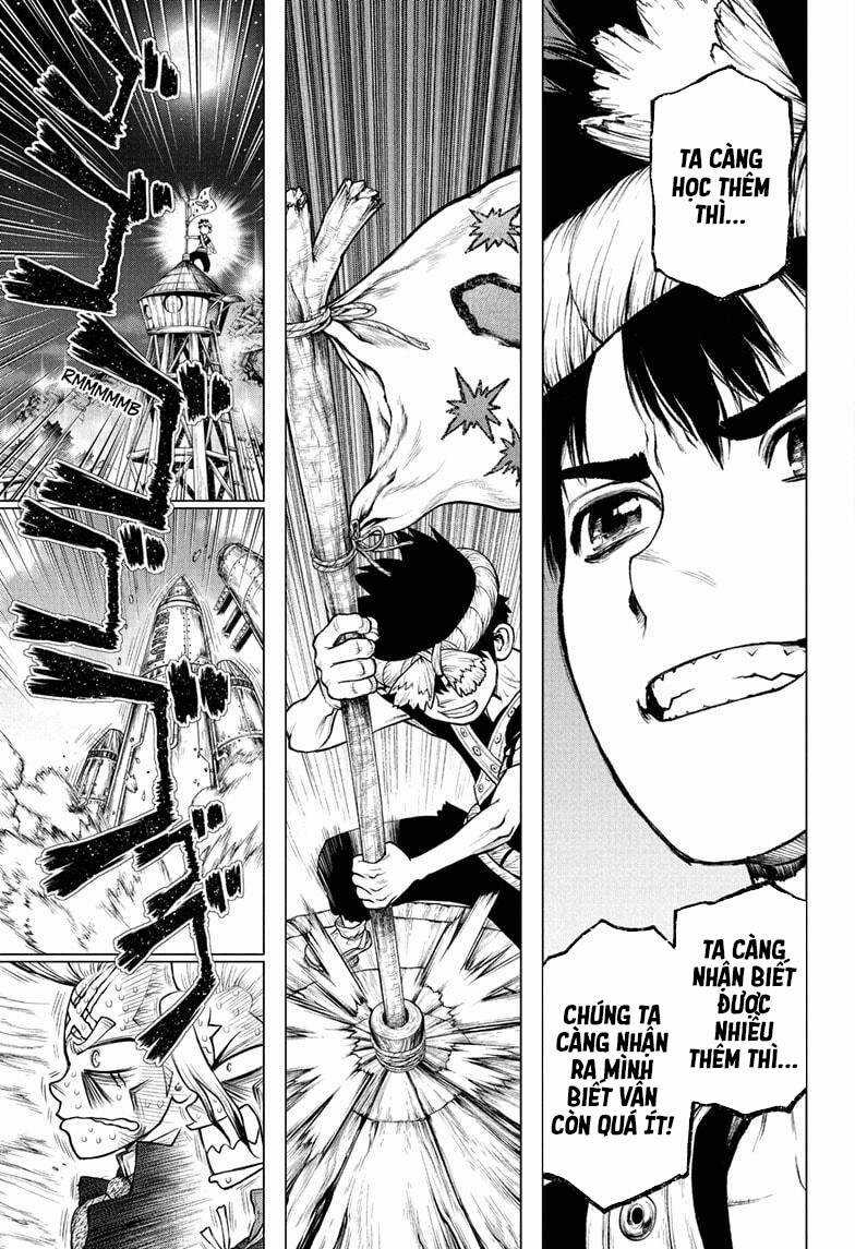 Dr.stone Chapter 216 trang 3