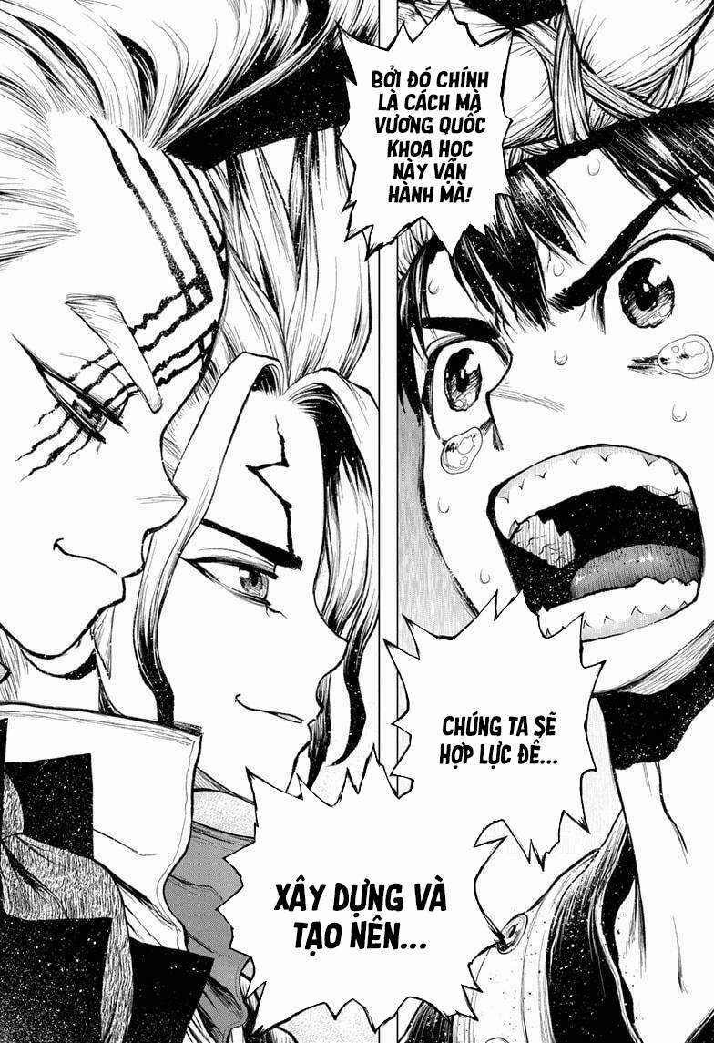 Dr.stone Chapter 217 trang 11