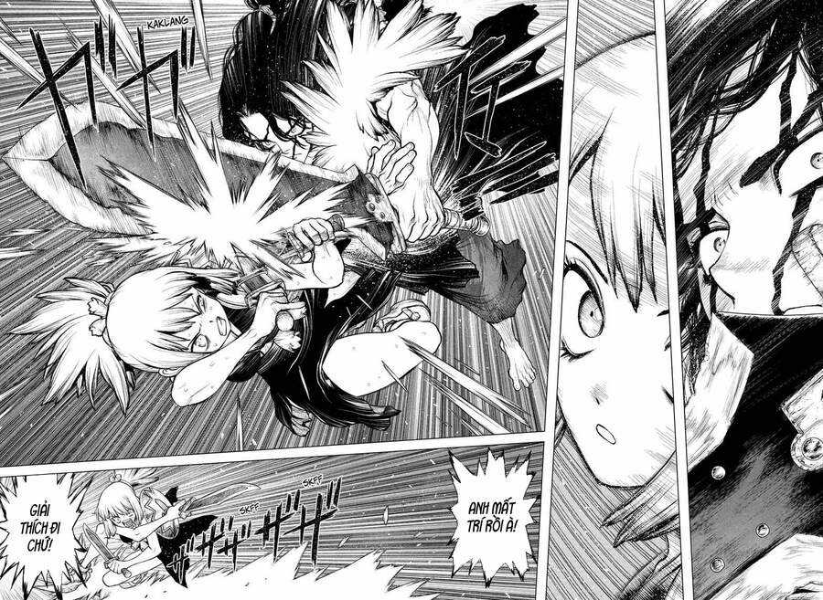 Dr.stone Chapter 219 trang 14