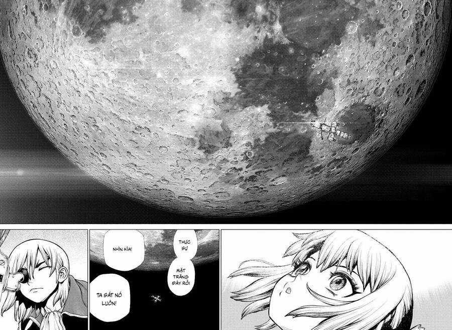 Dr.stone Chapter 226 trang 8