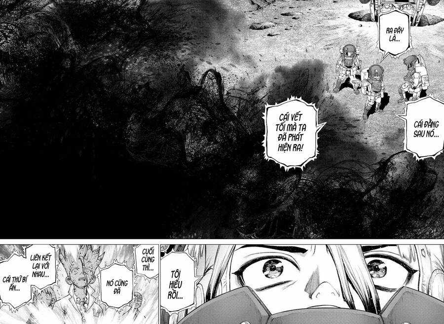 Dr.stone Chapter 227 trang 15