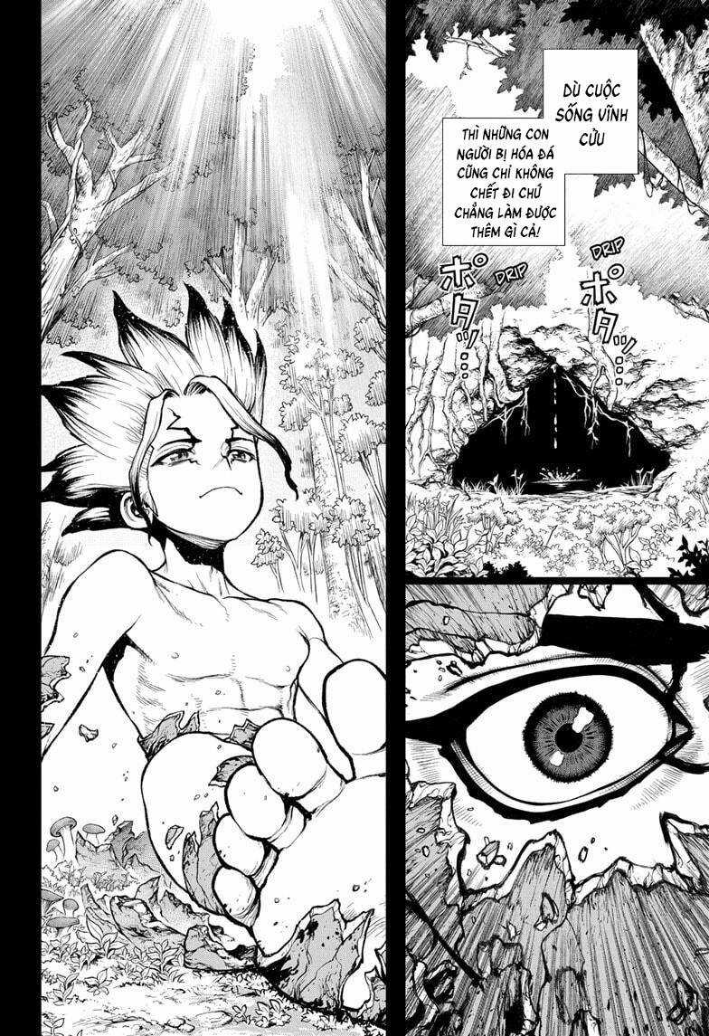 Dr.stone Chapter 229 trang 13