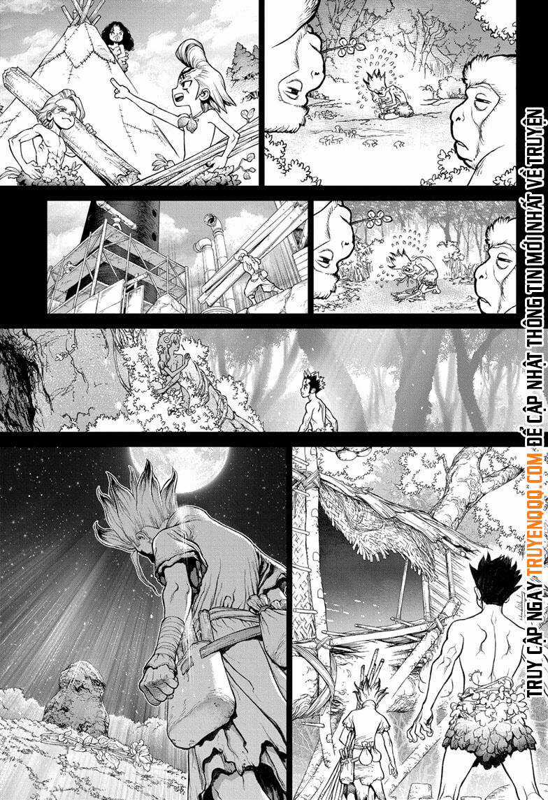 Dr.stone Chapter 229 trang 14