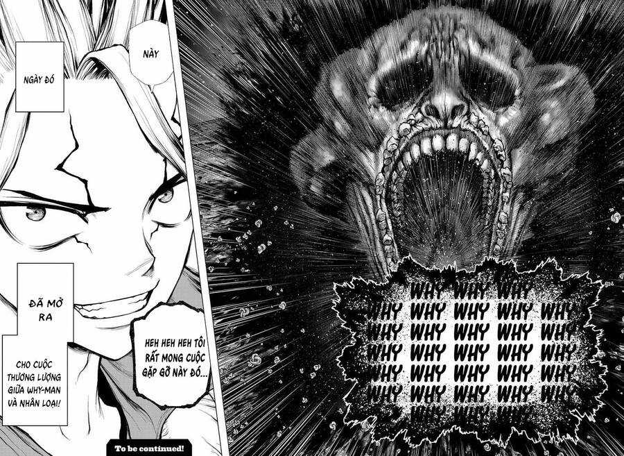 Dr.stone Chapter 229 trang 17