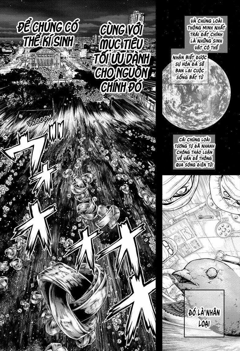 Dr.stone Chapter 229 trang 7