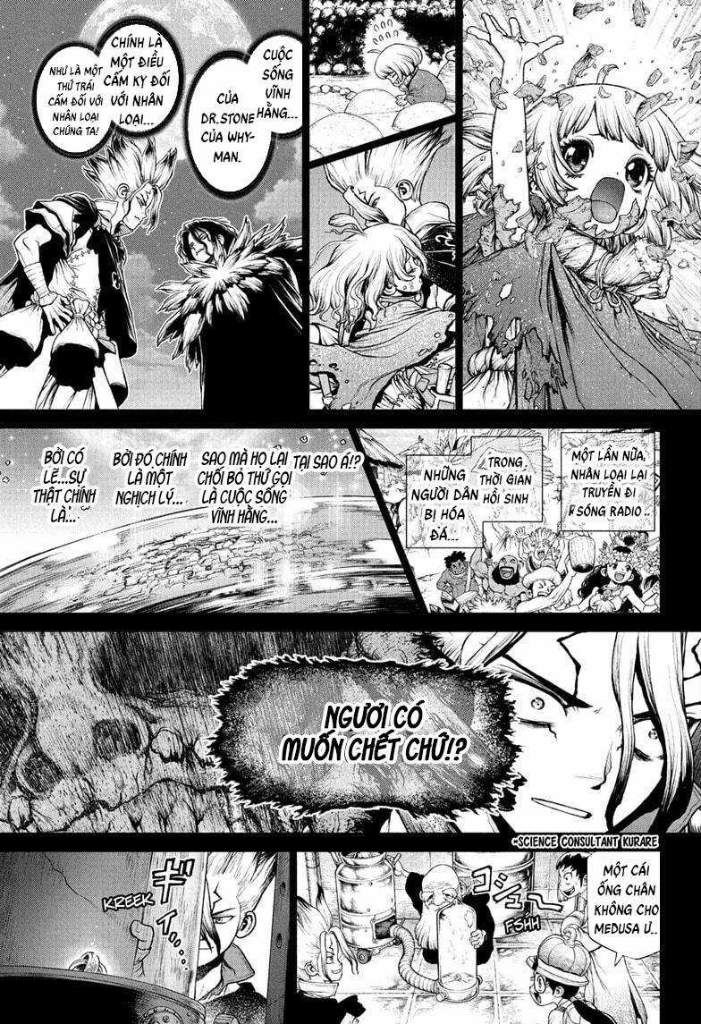 Dr.stone Chapter 230 trang 7