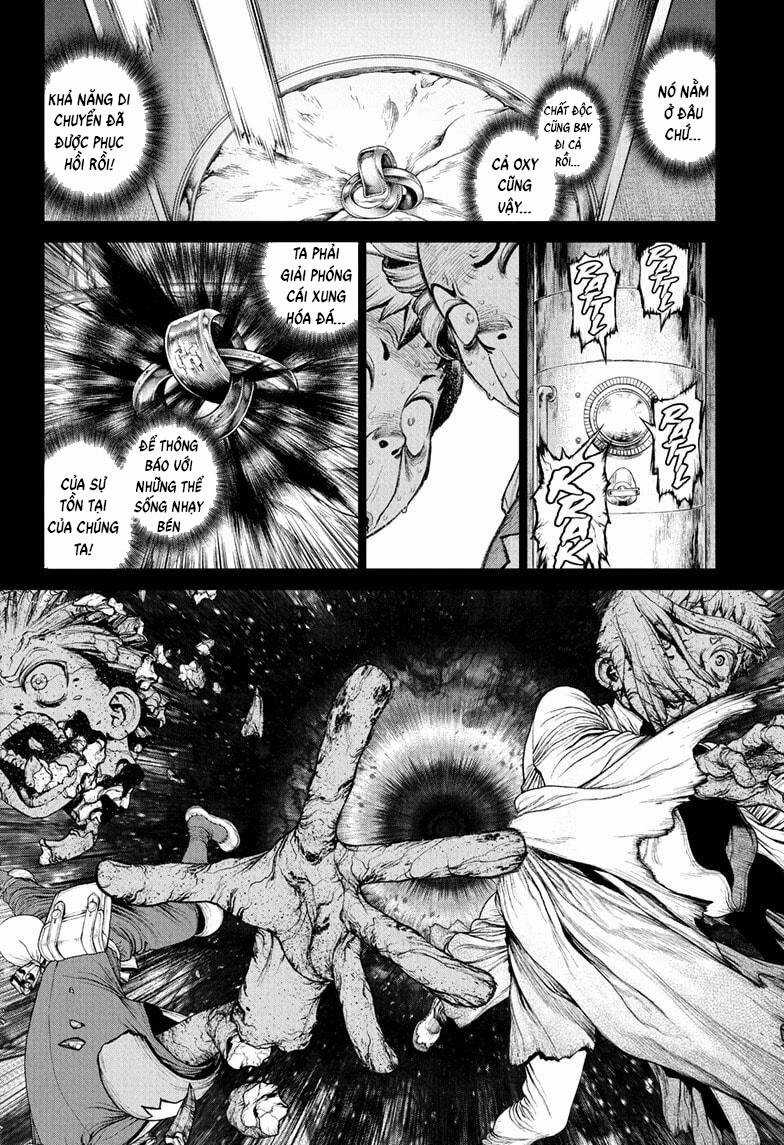 Dr.stone Chapter 230 trang 8