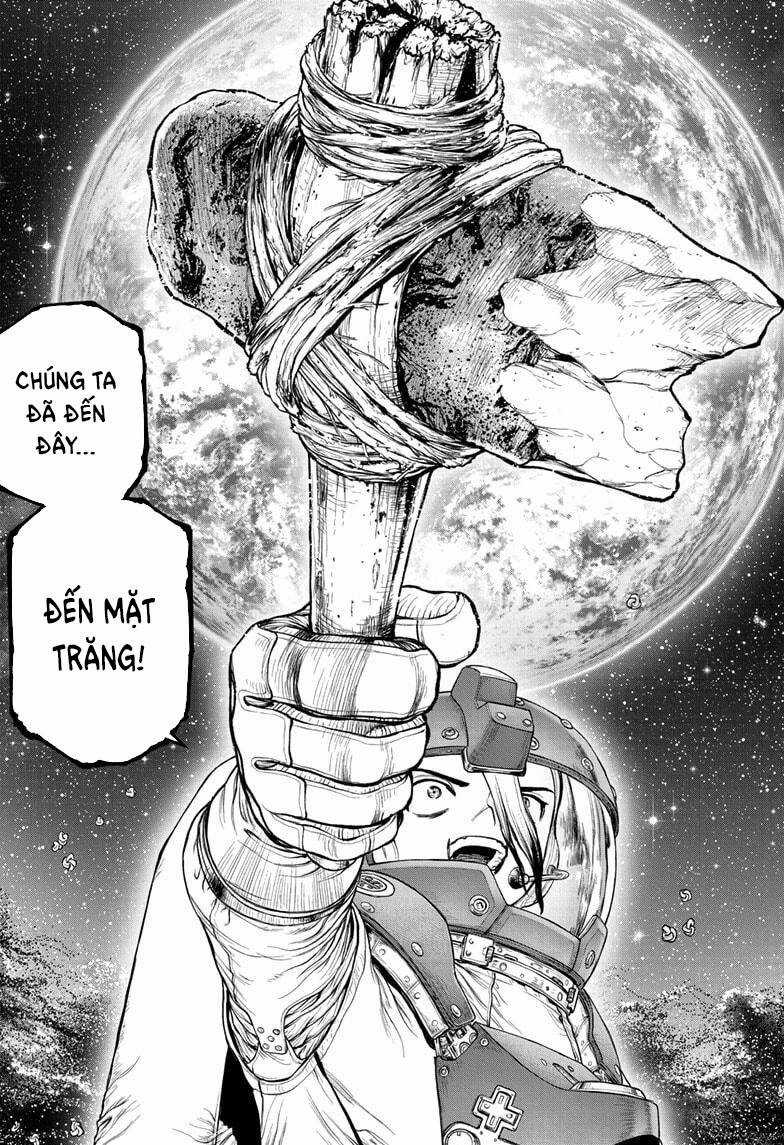 Dr.stone Chapter 231 trang 11