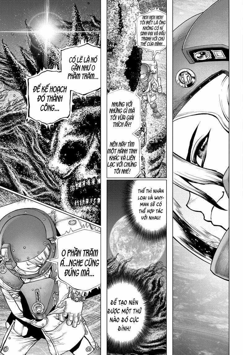 Dr.stone Chapter 231 trang 9