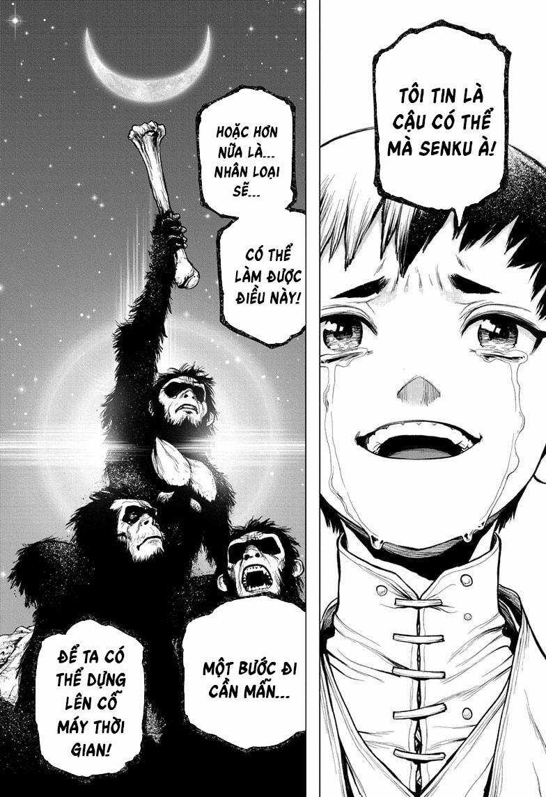 Dr.stone Chapter 232 trang 19