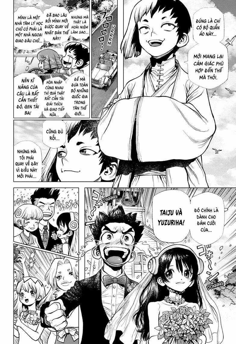 Dr.stone Chapter 232 trang 8