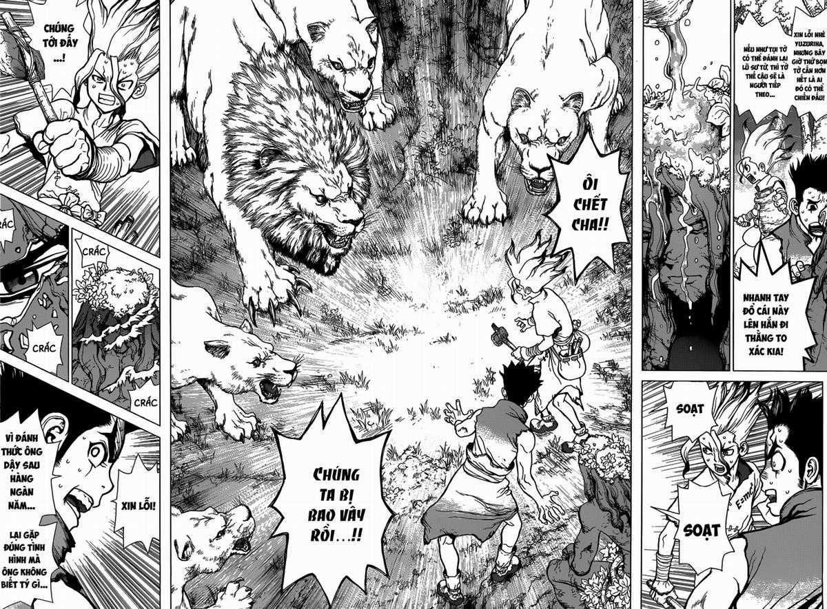 Dr.stone Chapter 3 trang 15