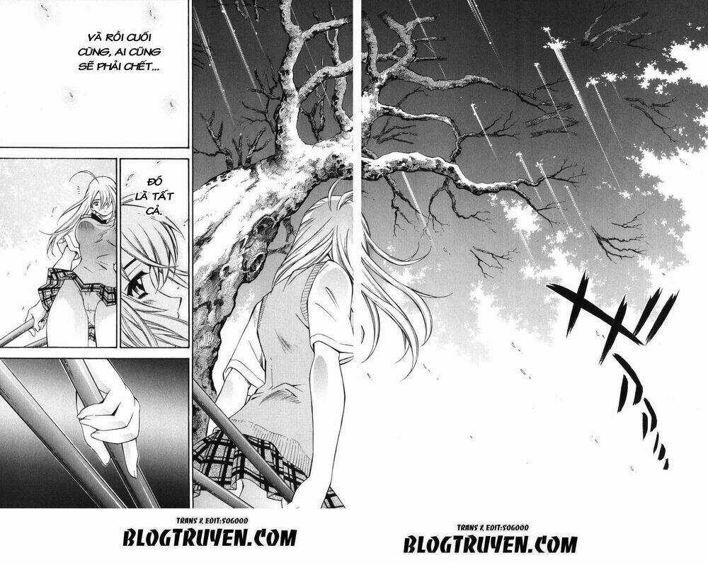 Dragon Girl - Ikkitousen Chapter 39 trang 17