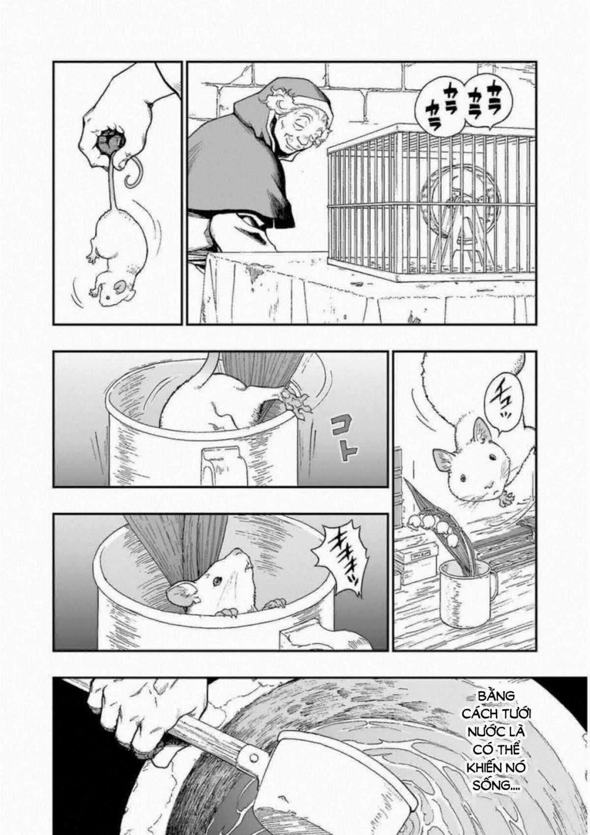 Dragon Quest - Dấu Ấn Roto - Những người kế thừa Chapter 296 trang 27