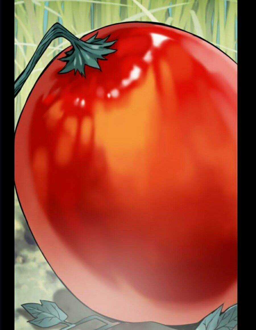 Druid Tại Ga Seoul - Người Hóa Thú Chapter 2 trang 25