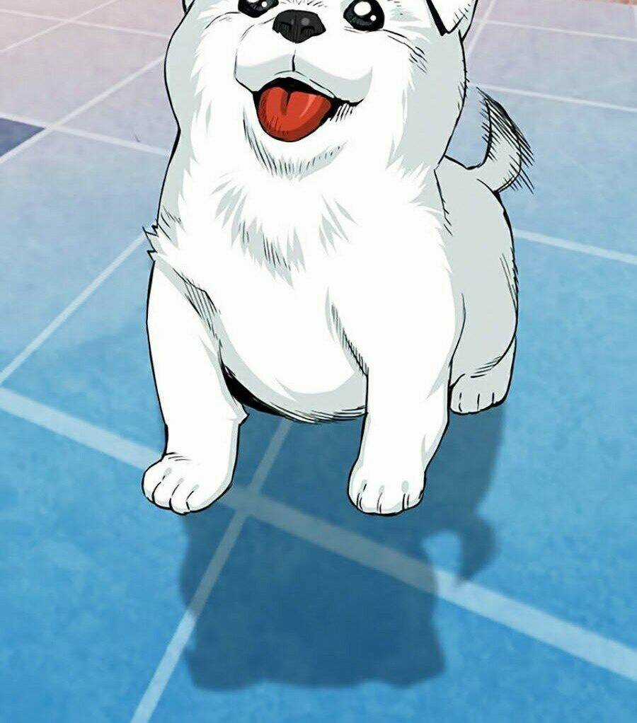 Druid Tại Ga Seoul - Người Hóa Thú Chapter 20 trang 37