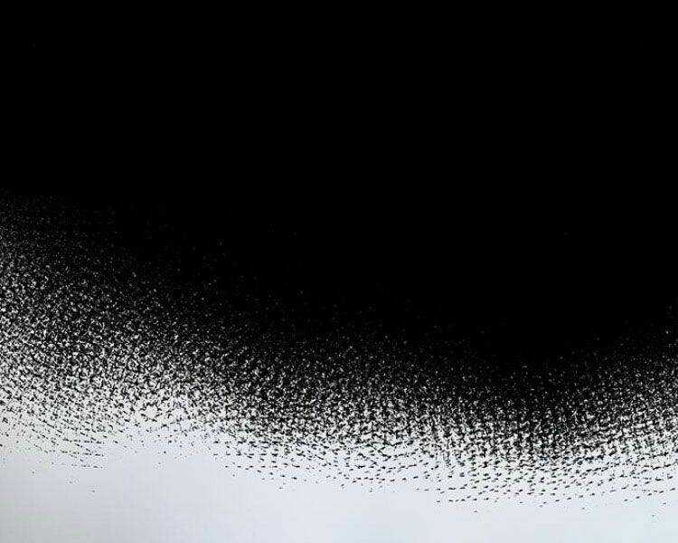 Druid Tại Ga Seoul Chapter 29 trang 105