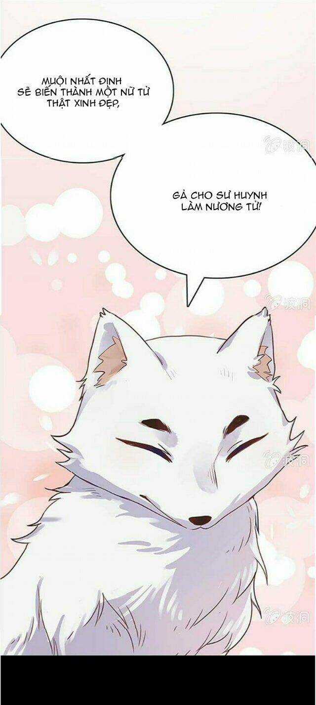 Dụ Ái Tiểu Hồ Tiên Chapter 1.2 trang 14