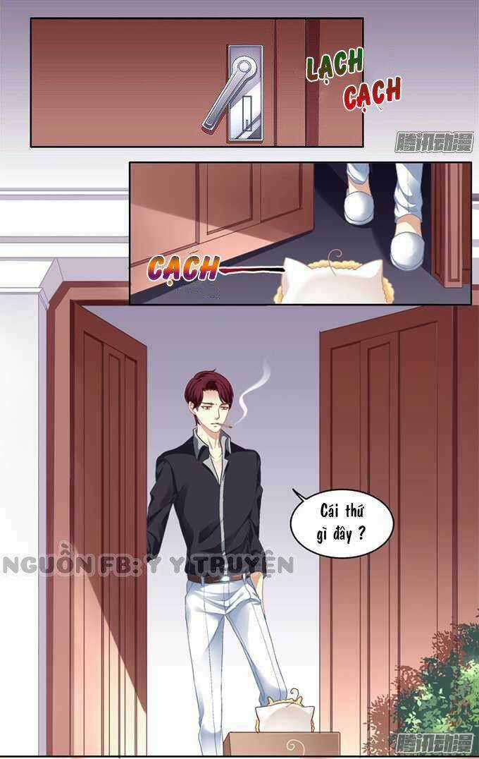 Dụ Hoặc Miêu Yêu Chapter 1 trang 11