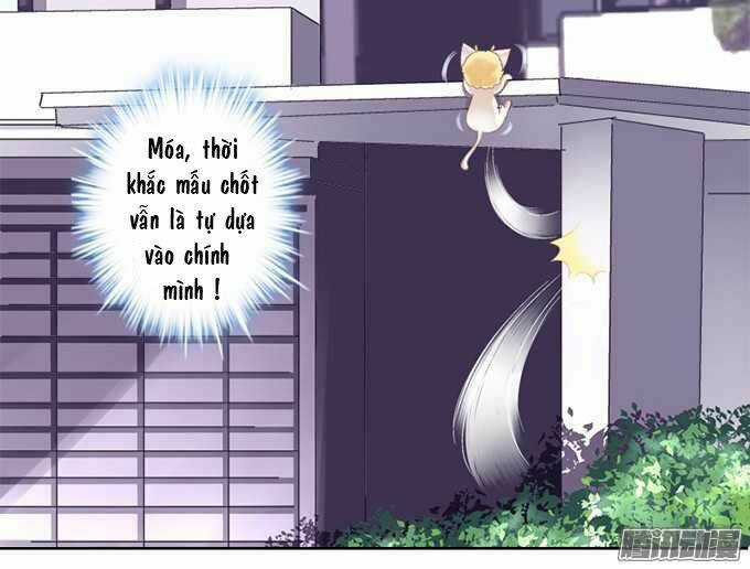 Dụ Hoặc Miêu Yêu Chapter 1 trang 15