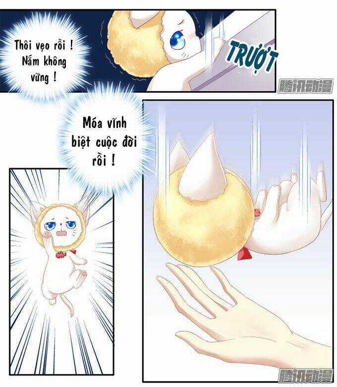 Dụ Hoặc Miêu Yêu Chapter 1 trang 17