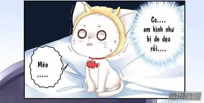 Dụ Hoặc Miêu Yêu Chapter 1 trang 21