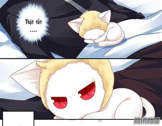 Dụ Hoặc Miêu Yêu Chapter 1 trang 23