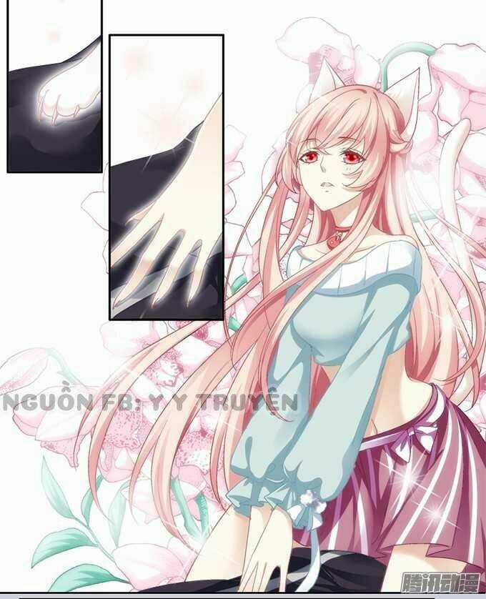 Dụ Hoặc Miêu Yêu Chapter 1 trang 24